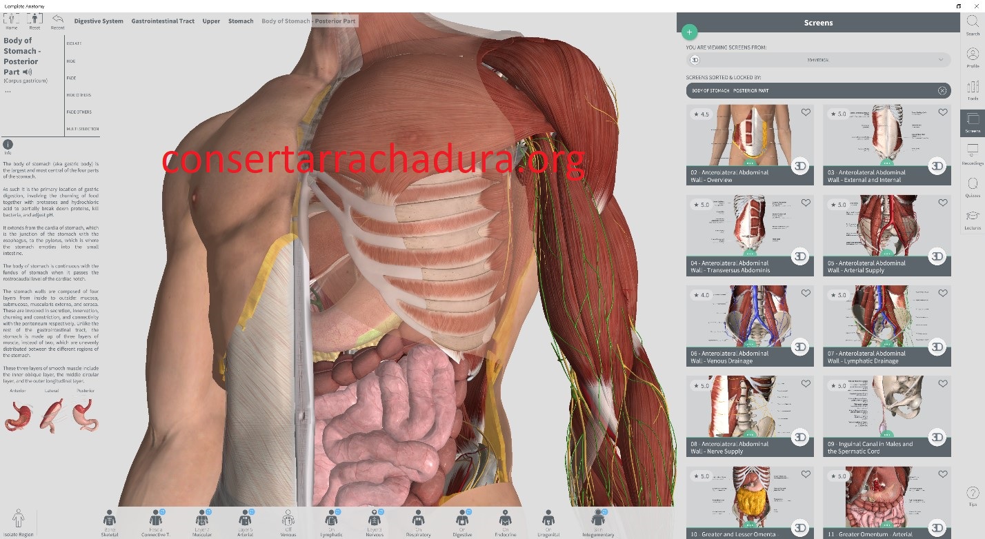 Complete Anatomy Keygen