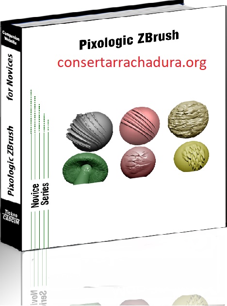 Pixologic Zbrush Rachadura