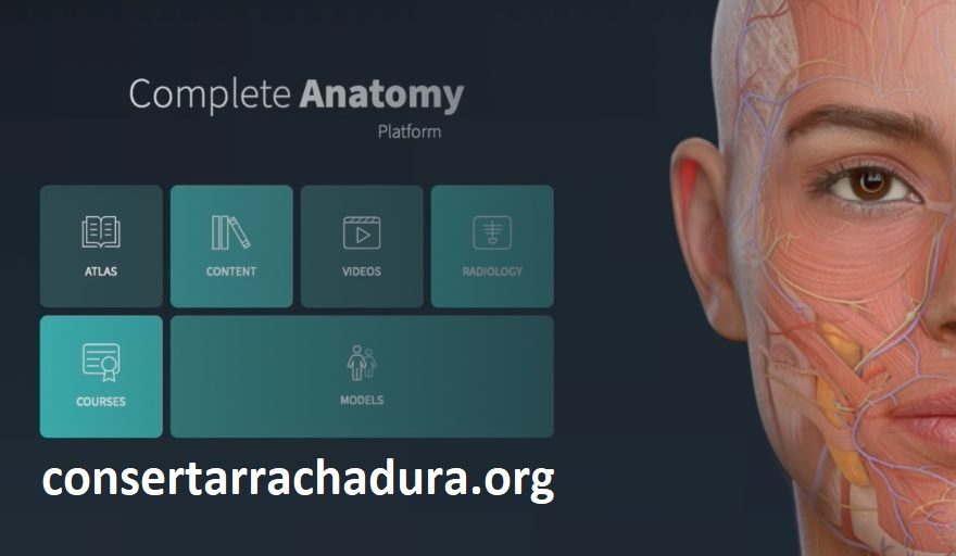 free version of Complete Anatomy